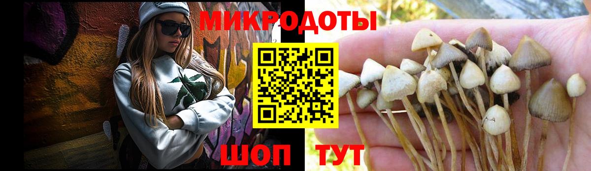 Псилоцибиновые грибы прущие грибы Дедовск